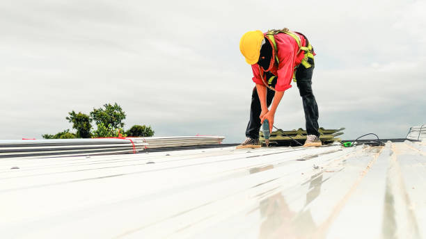 Best Roof Maintenance and Cleaning  in Horn Lake, MS